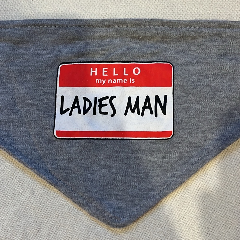 Swiggles Bib - Picture 3 of 7